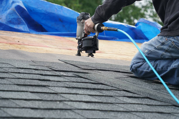 Best Roof Ventilation Installation  in Chester, IL