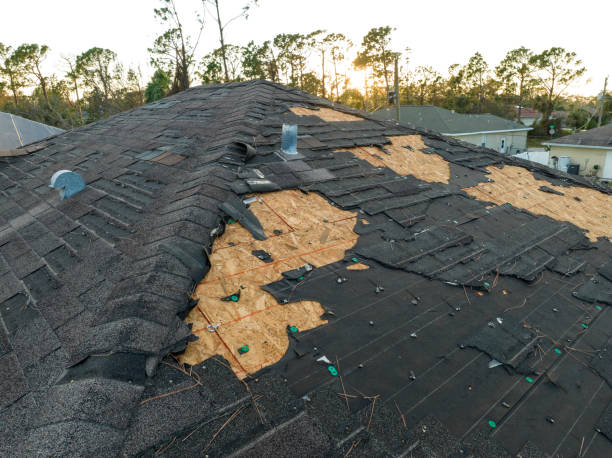 Best Commercial Roofing Services  in Chester, IL