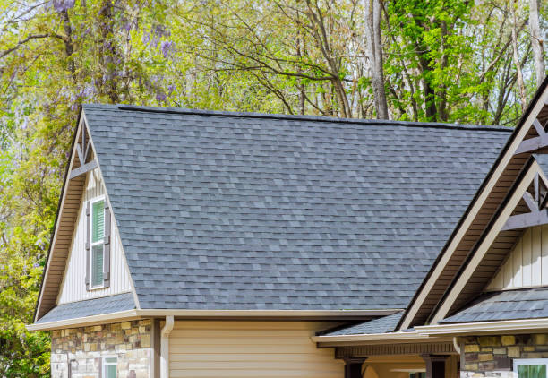 Best Roof Ventilation Installation  in Chester, IL